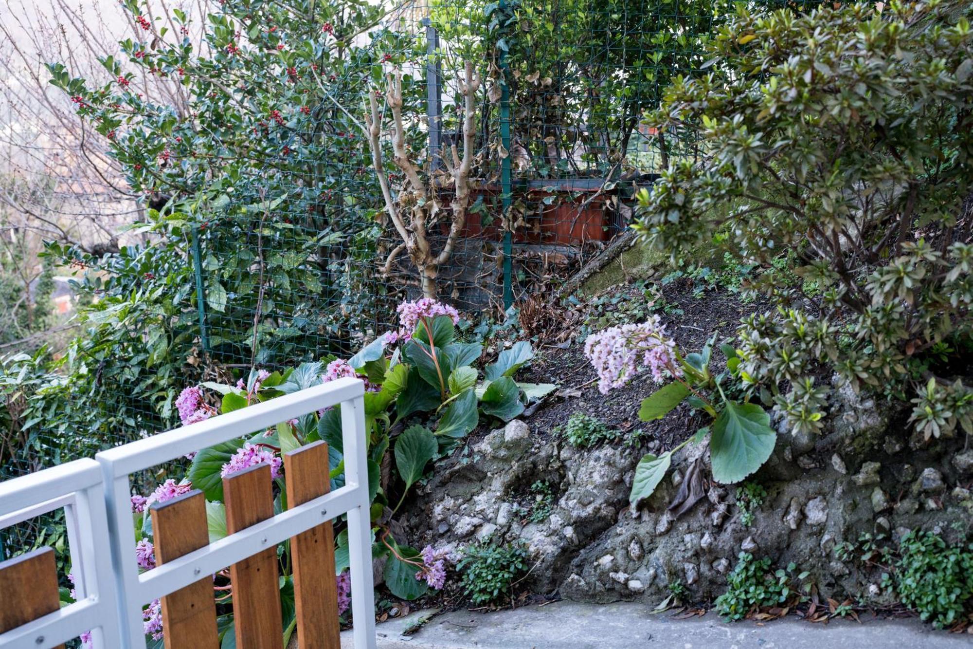Residence Villa Eli Όπως Εξωτερικό φωτογραφία